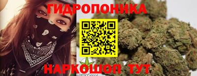 индика Нягань