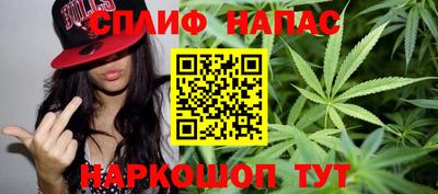 индика Нягань