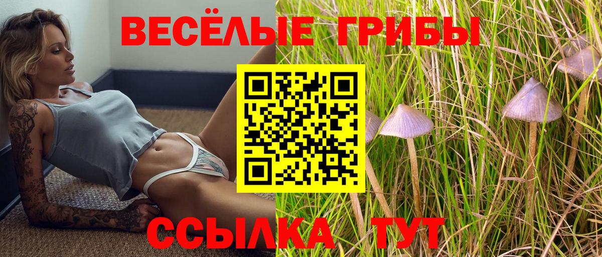 Галлюциногенные грибы Psilocybine cubensis Ростов-на-Дону