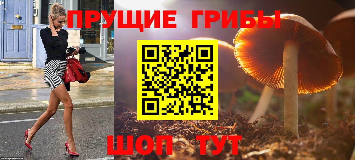 Галлюциногенные грибы мухоморы  магазин продажи   Вход с VPN  Ростов-на-Дону  Галлюциногенные грибы GOLDEN TEACHER 